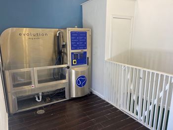 Pet Wash Station at Mission Hills Apartments, Texas